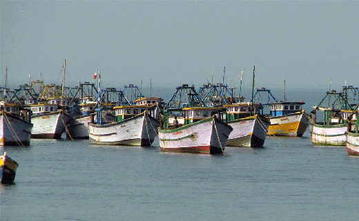fishing boats.gif